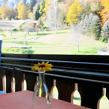 Haus Muehlgrund Lejlighed Bad Wildbad Eksteriør billede