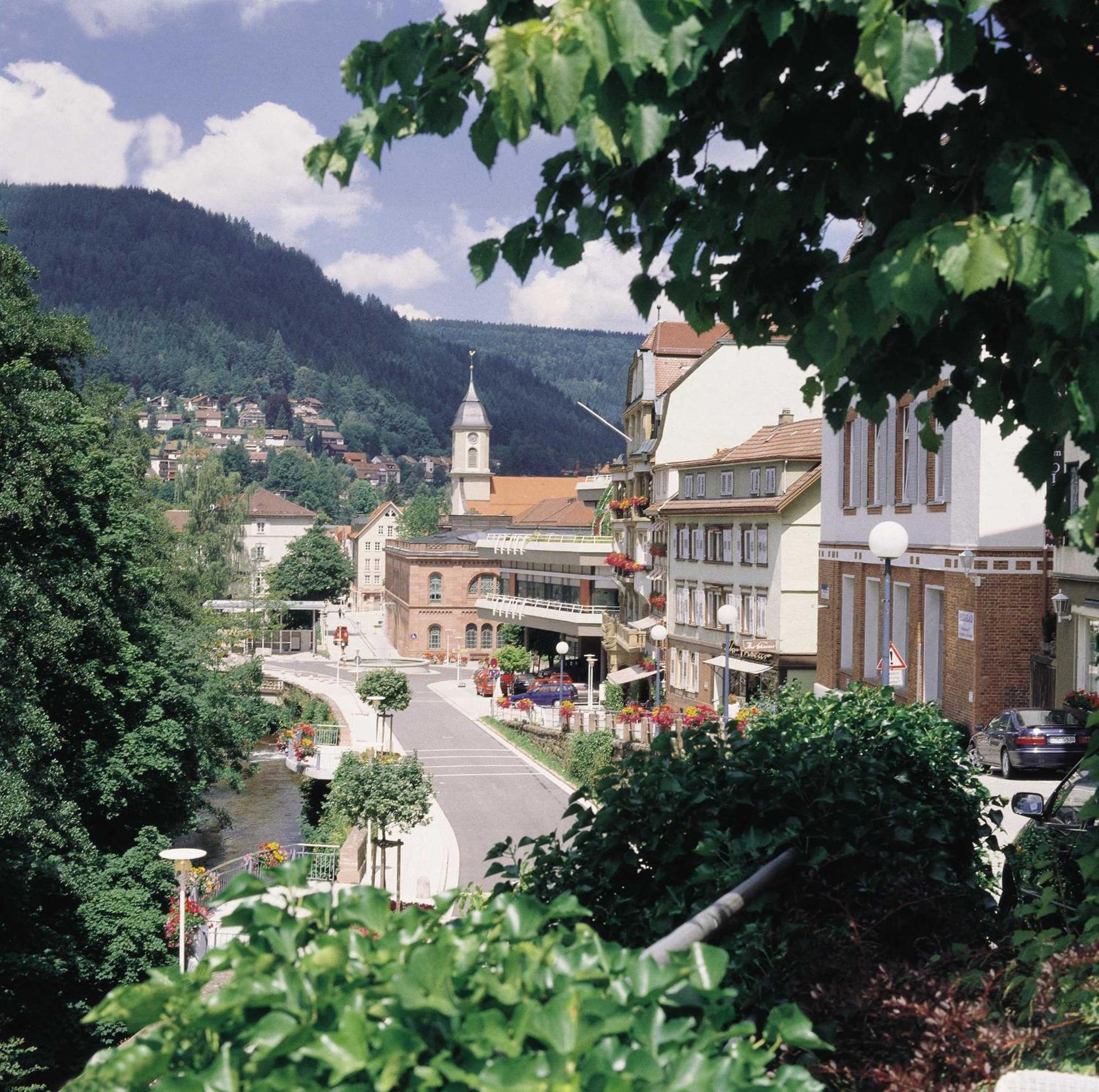 Haus Muehlgrund Lejlighed Bad Wildbad Eksteriør billede